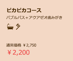 ピカピカコース2200円